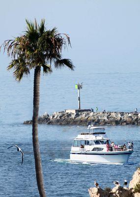 Entering Newport Beach Harbor