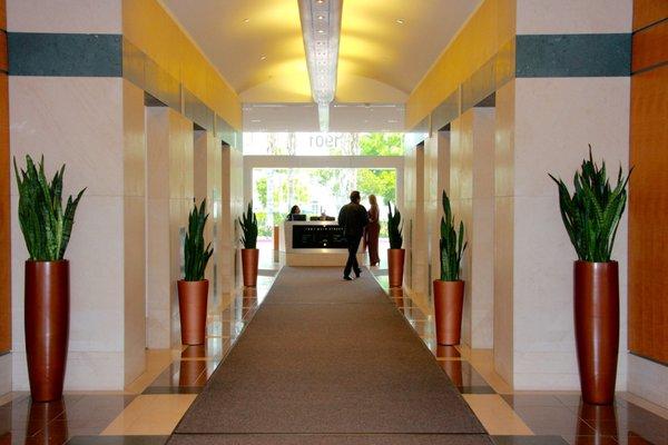 Modern containers and sanseveria give a clean look to a lobby.