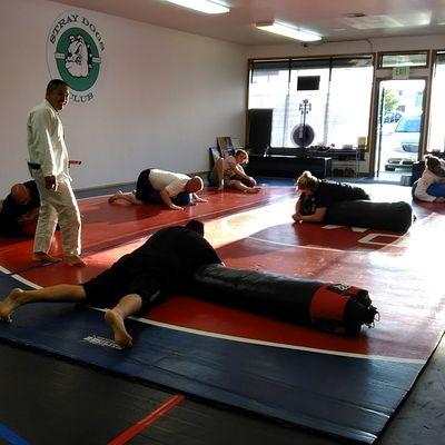 Brazilian Jiu Jitsu at Stray Dogs Club!