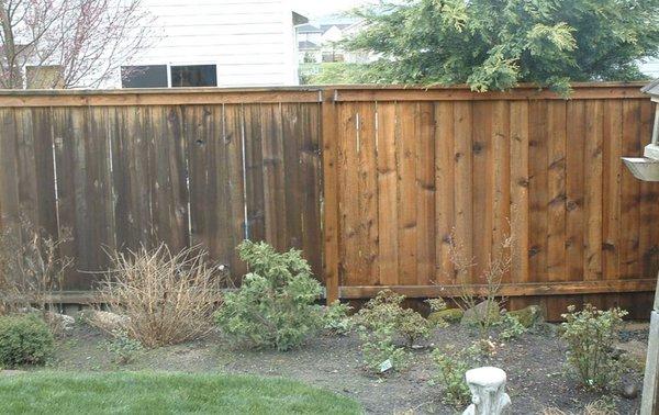 Fence cleaning