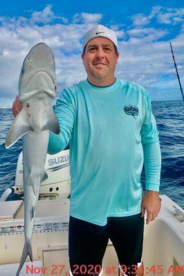 Silky Shark while bottom fishing