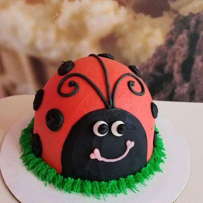 Ladybug Ice Cream Cake