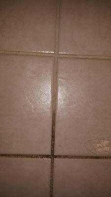 Before and After Tile and Grout Cleaning