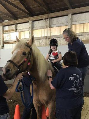 Therapeutic Riding Institute