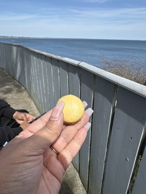 Tiny cute macaroon. Delish!