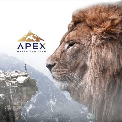 We can't wait to meet you and find out exactly how we can help your business reach it's APEX.