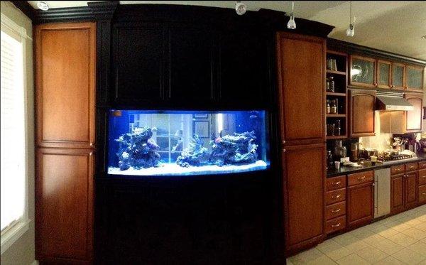 Quality Saltwater Tanks