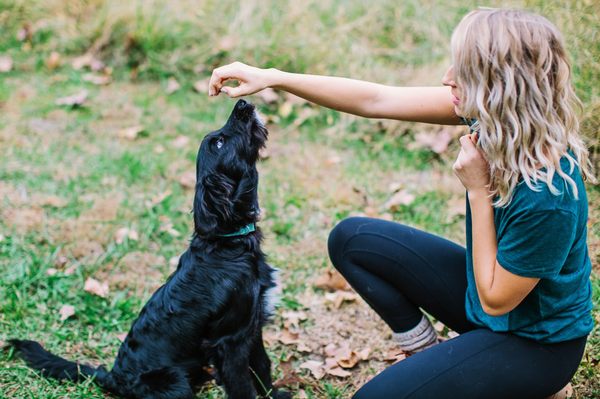 Piper Novick Dog Training