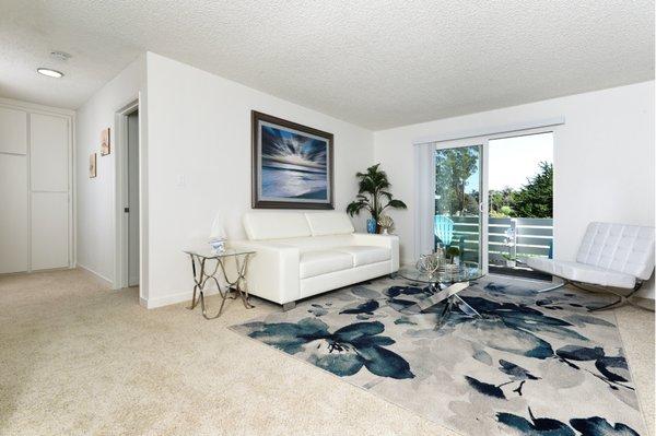 Large Living Room with a Patio or Balcony!