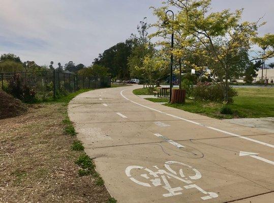 Bike lane and walking path