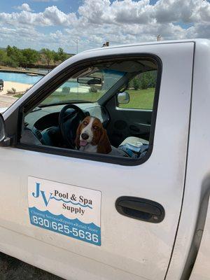 We clean your pool and love your pets