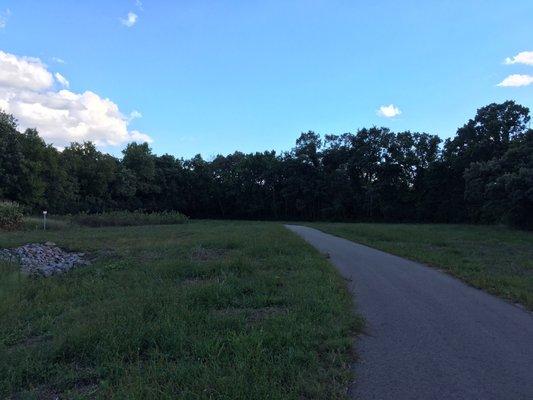 Park trail, lots more in wooded area