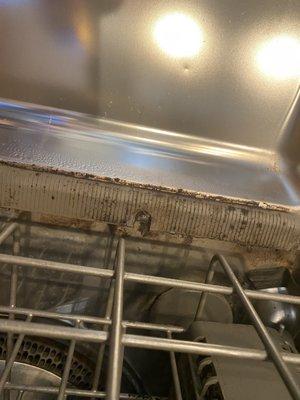 Black mold on the inside of the dishwasher! Disgusting!