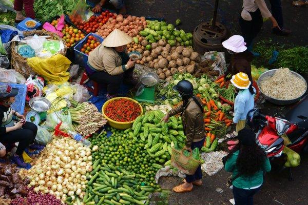 Eat your Veggies, mostly cooked, some raw and fermented, lots of colors!