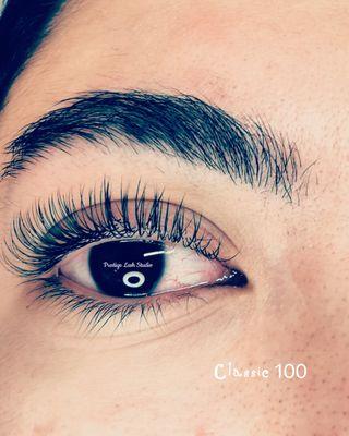 Prestige Lash Studio