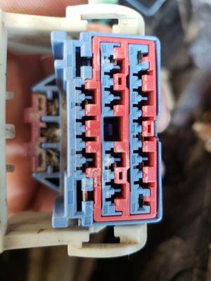 Corroded plug causing communication issues between tcm and pcm.