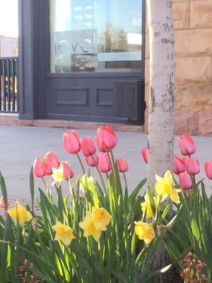 Spring at Level Wine Bar in beautiful Spearfish, SD