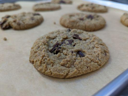 Fresh baked chocolate chip cookie.