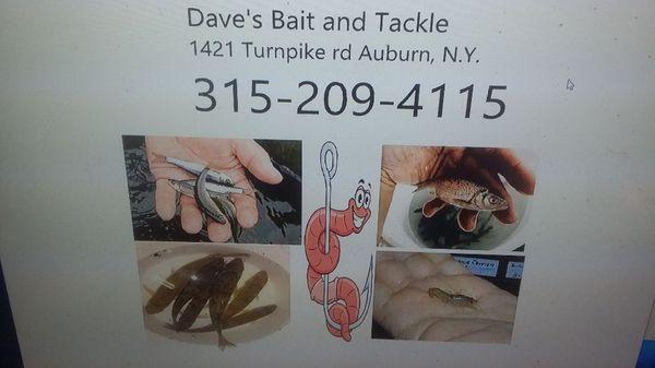 Bait shop address an a sample of what we offer.