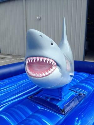 Mechanical Shark Rental