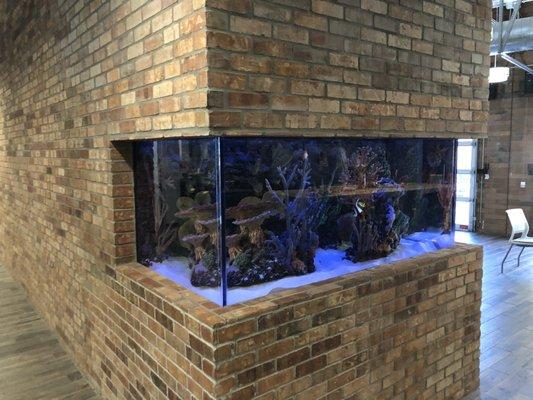 Home to the famous iT1 fish tank