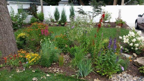 Rain gardens are beautiful as well as functional