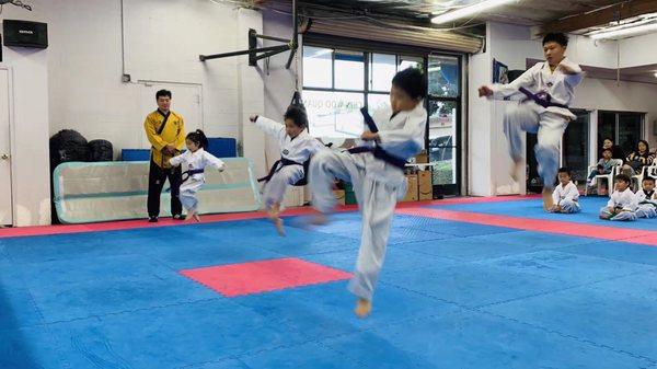 Belt promotion test. Purple belt group