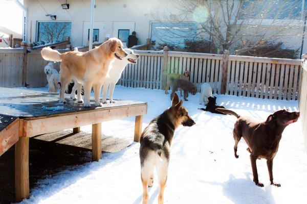 Enjoying the snow in the play yard