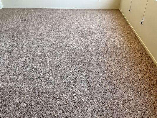 Living room carpet after the cleaning.