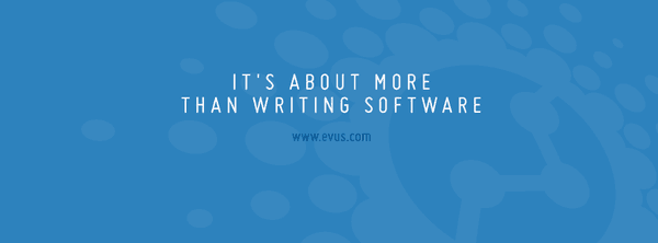 The business of software is about more than software