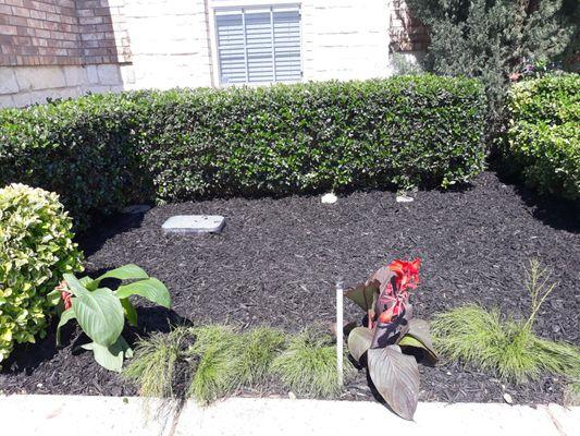 This was one of my project I did for a customer Also put new mulch in.