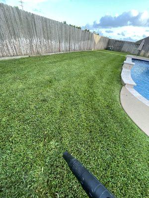 Lawn we mow on a consistent basis