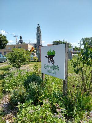 Common Roots Urban Farm