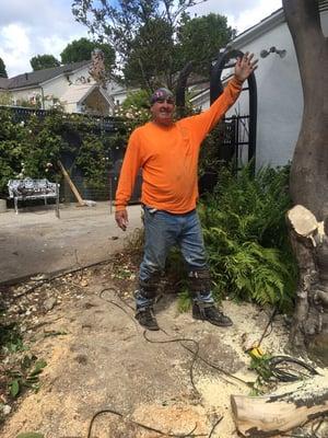 This tree growing to close to house.