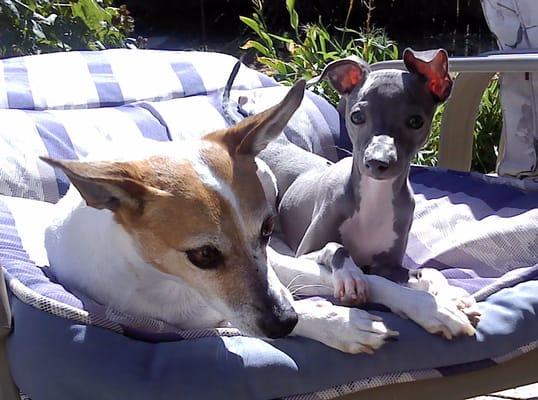 Friendship, holding hands, a good lawn chair for snuggling in the sunshine!