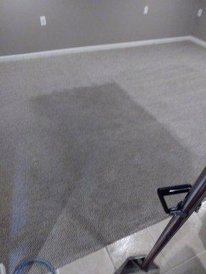 Premier Carpet Cleaning