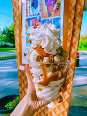 Medium Sundae (Wizard Tracks & Chocolate Chip Cookie Dough)