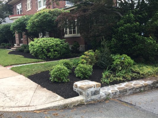 Removed and planted new mature shrubs to blend with existing landscape .