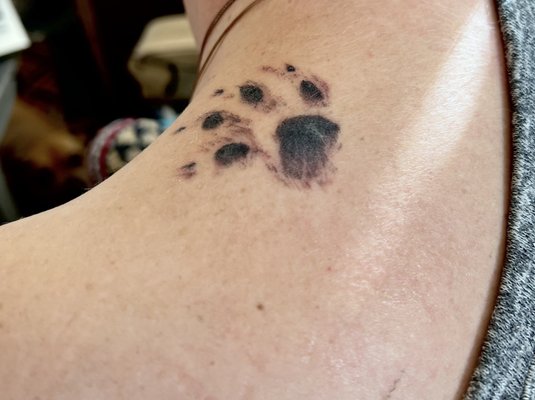 My cats paw print. He really went a love and beyond to capture her colors and essence.