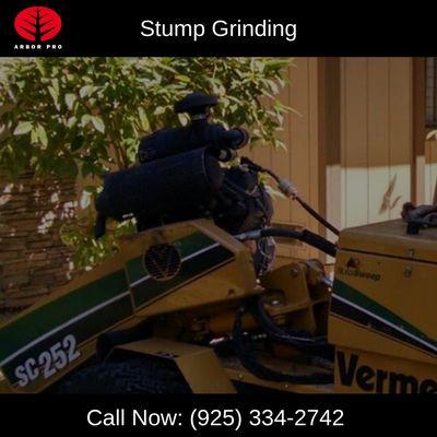 Stump Grinding