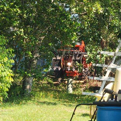 Quality Property Restoration, Tree and Dumpster Services