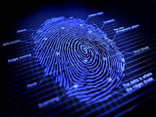 MIAMI NOTARY & FINGERPRINTS