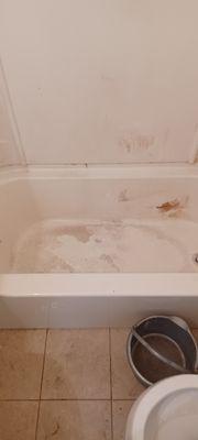 Before bathtub cleaned.