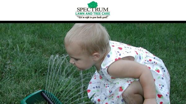 Spectrum Lawn & Tree Care