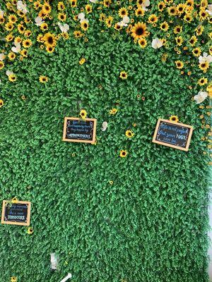 Grass n sunflower wall inside the main entrance