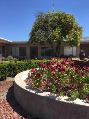 One of our Beautiful Courtyards