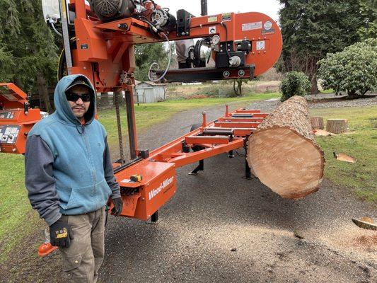 Ismael Tree Service