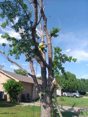 M C STONEWORK AND LANDSCAPING