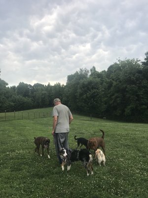 Took our 7 month old Aussie, Luna, to the dog park today! There were lots of other doggies here to play with