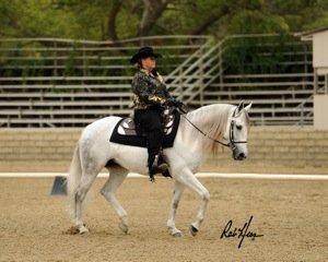 Brandie Haining Showing  Luna Nueva